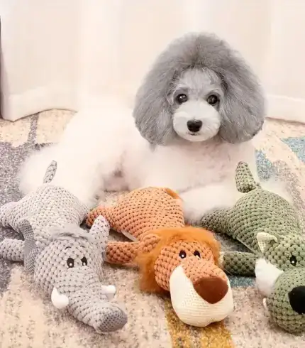 Funny Pet Chew Toys