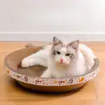 Cat Bed for Stress-Relief, Claw Health & Furniture Safety U01