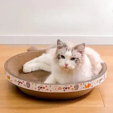 Cat Bed for Stress-Relief, Claw Health & Furniture Safety U01