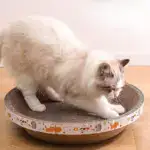 Cat Bed for Stress-Relief, Claw Health & Furniture Safety U01