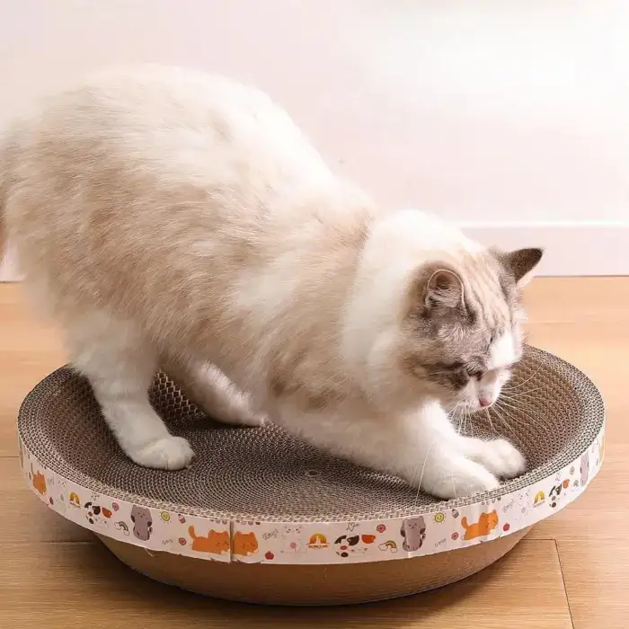 Cat Bed for Stress-Relief, Claw Health & Furniture Safety U01