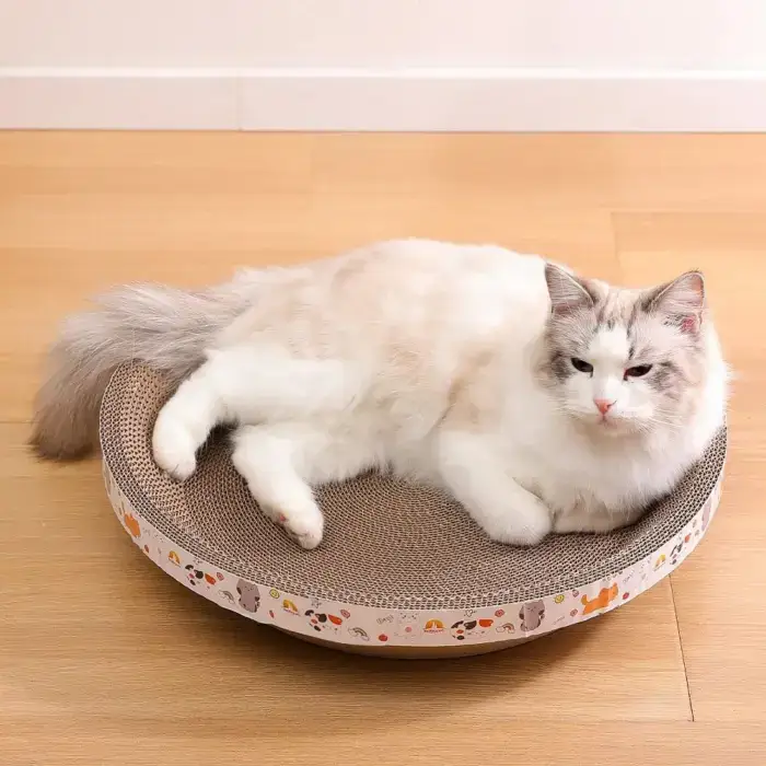 Cat Bed for Stress-Relief, Claw Health & Furniture Safety U01