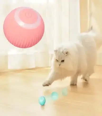 Smart Cat Toys Automatic Rolling Ball