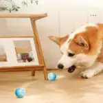 Smart Cat Toys Automatic Rolling Ball