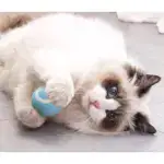 Smart Cat Toys Automatic Rolling Ball