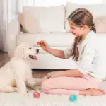 Smart Cat Toys Automatic Rolling Ball