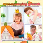 Rabbit Muppet Toys