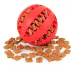 Soft Pet Dog Toys