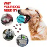 Soft Pet Dog Toys