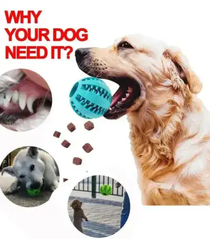 Soft Pet Dog Toys