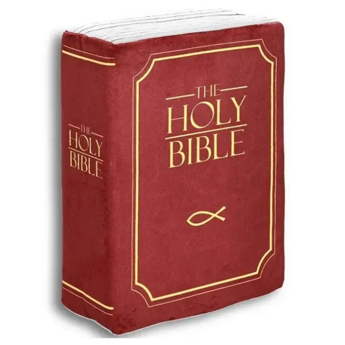 Comforting Bible Verse Plush Pillow