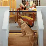 Kids & Pets Safety Door Guards