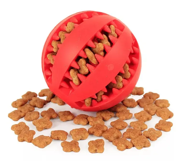 Durable dog toy