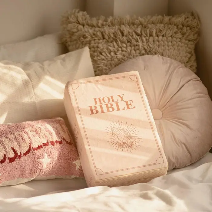 Bible-inspired pillow