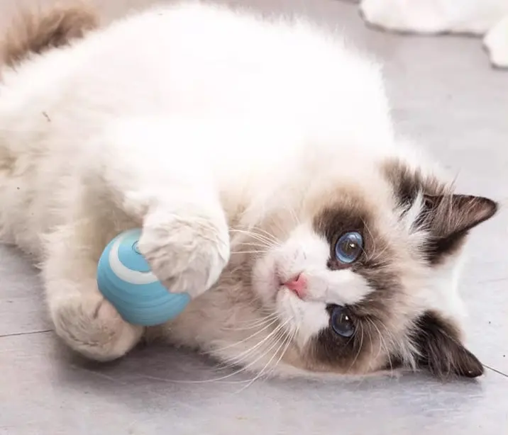 Smart Cat Ball Toy
