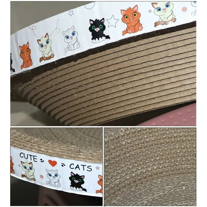 Cat inside cardboard