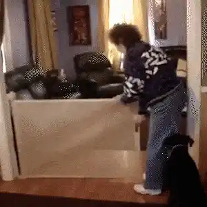 Child and pet safety gate