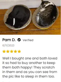 Feedback snippets