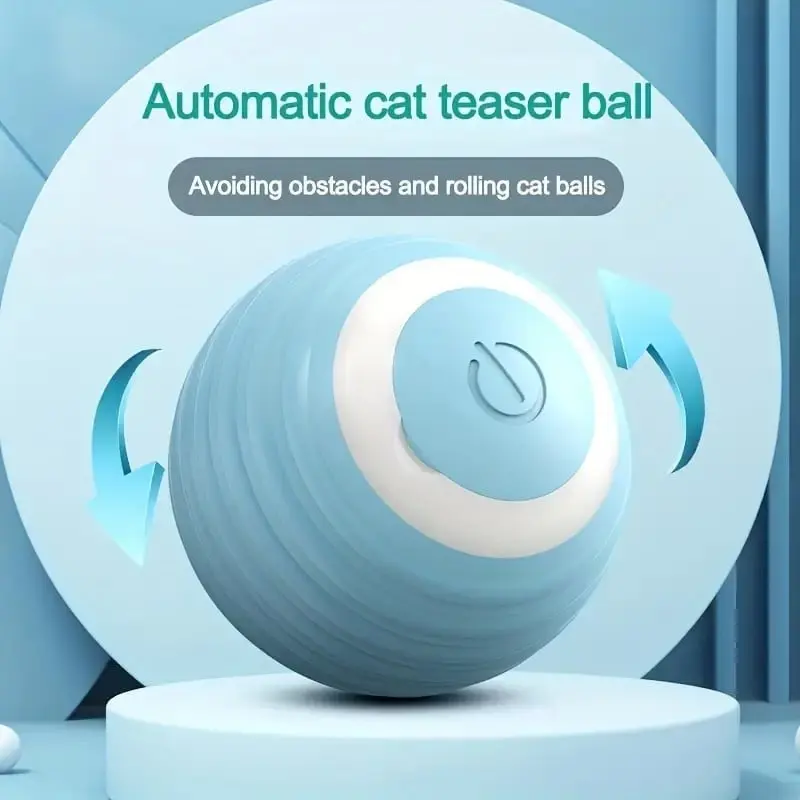 Cat Playing with Ball