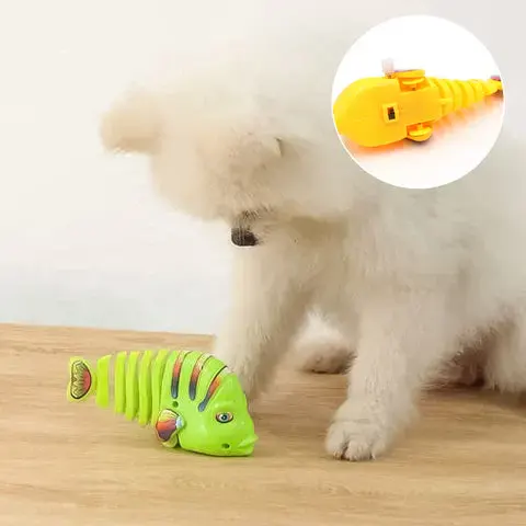 Kids playing with wind-up fish